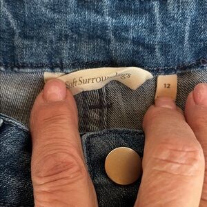 Excellent condition gently worn embellished jeans , so cute for the holidays